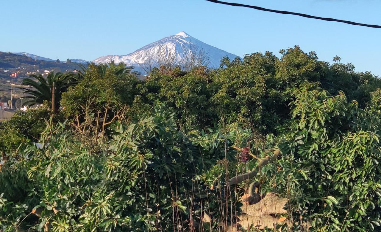 Finca El Trazo Такоронте Экстерьер фото
