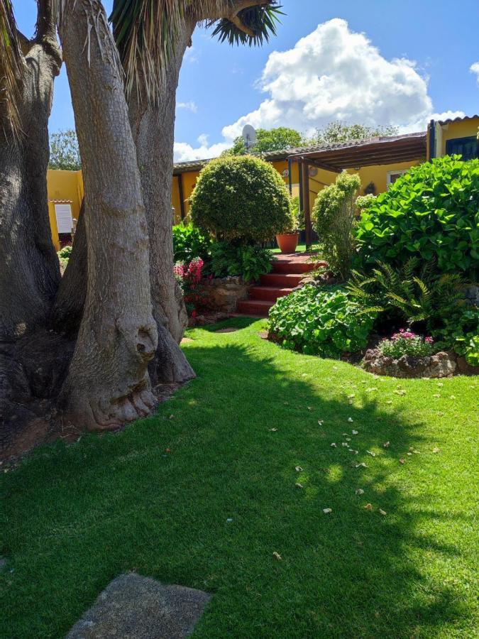 Finca El Trazo Такоронте Экстерьер фото